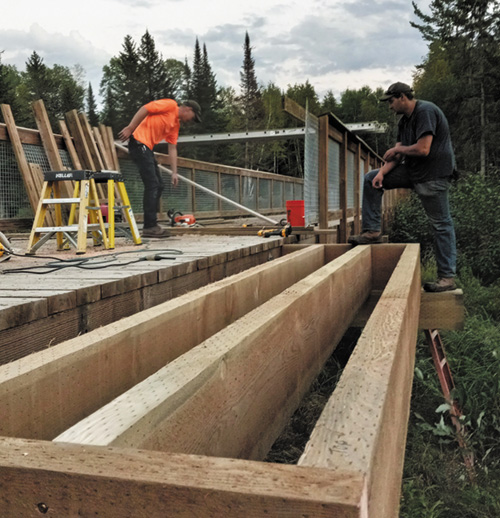 IncisorArticle BridgeConstruction1