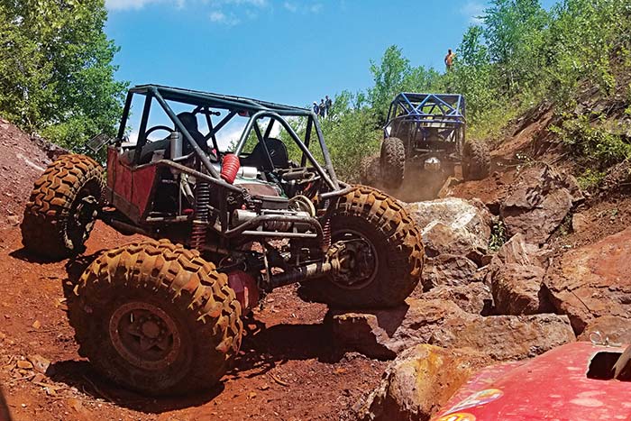 Spring is in the Air